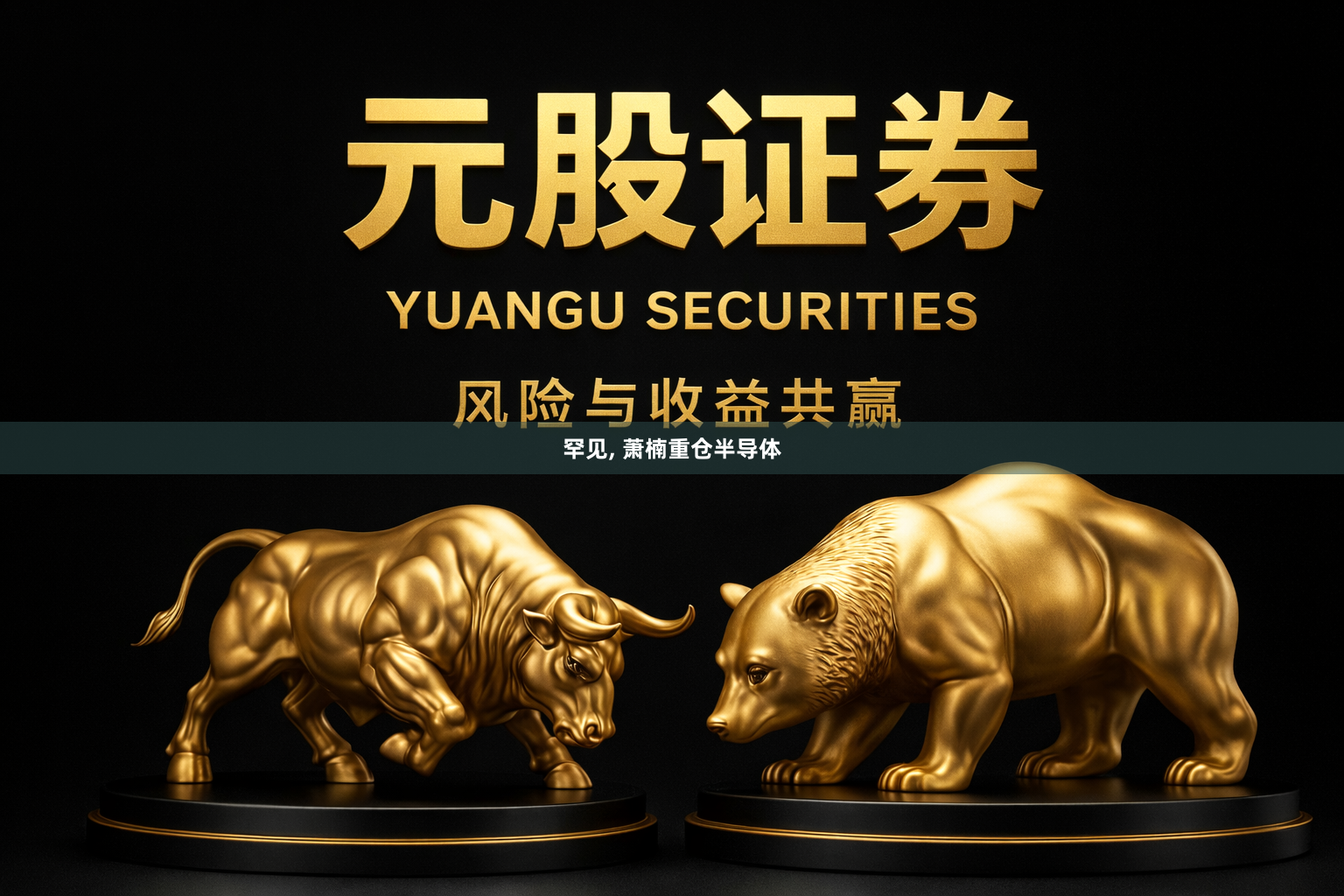 罕见, 萧楠重仓半导体
