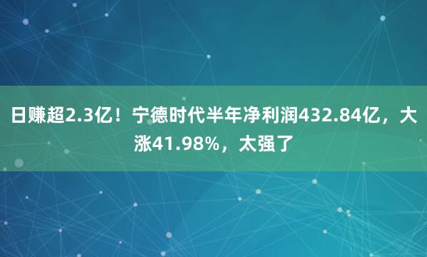 日赚超2.3亿！宁德时代半年净利润432.84亿，大涨41.98%，太强了