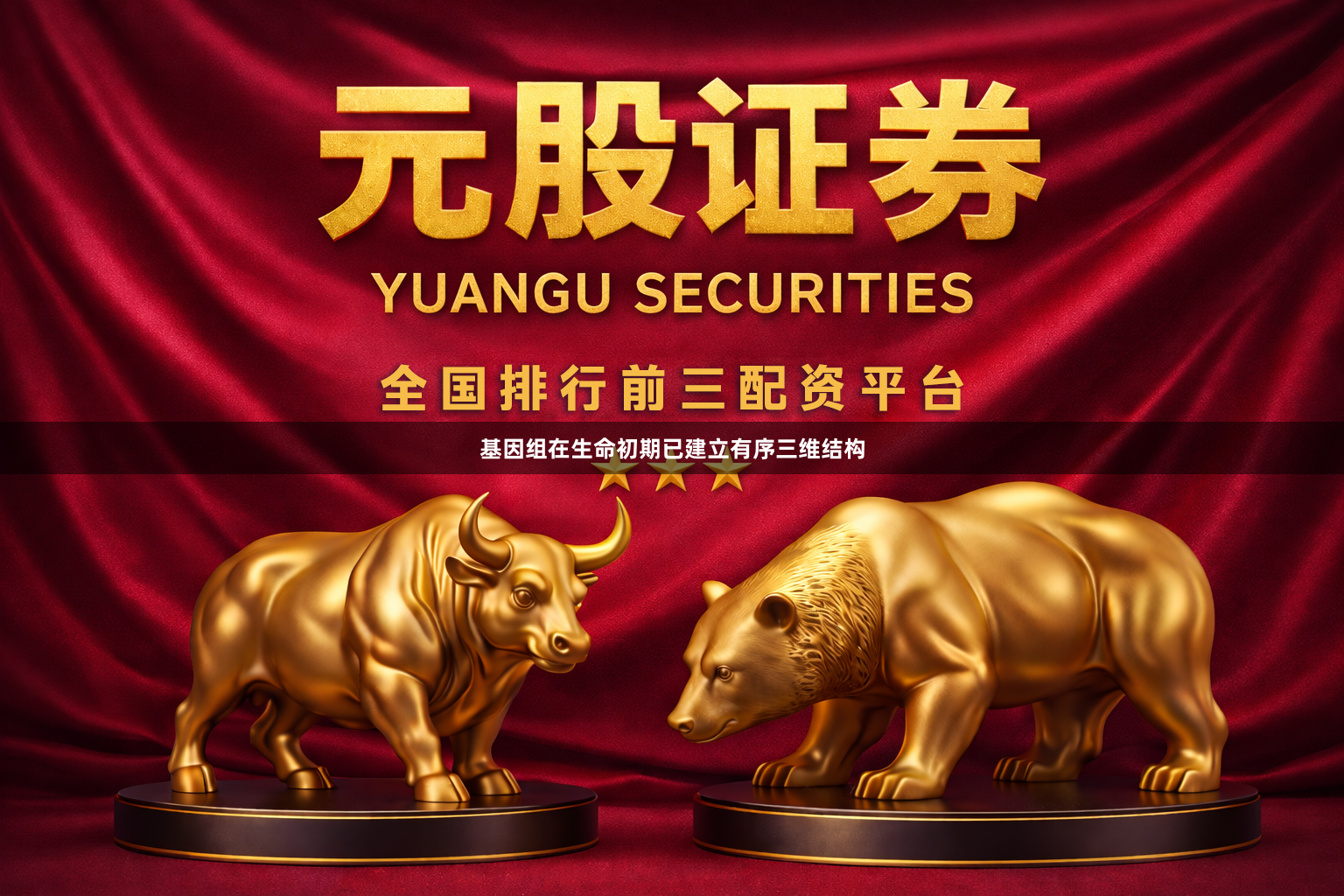 基因组在生命初期已建立有序三维结构